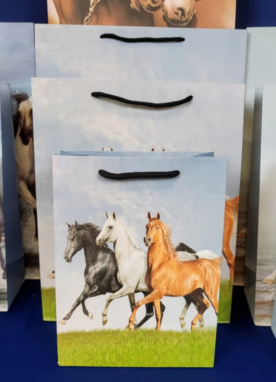 c1b861004e0b16a2b9cb7059aed9cb61