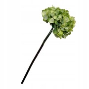 13d6e4cb5862db23201ec57960e215af