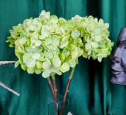 accc9db570c41124e82e351707df25c0