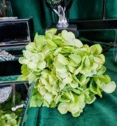 7d3a62119be1e4b3c626e6feaca646e1