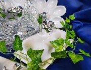 b831ab3c26e4f91447872ae9f56e9223