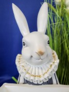 72d52f0b7582693ae3e06eb85cd7a98e