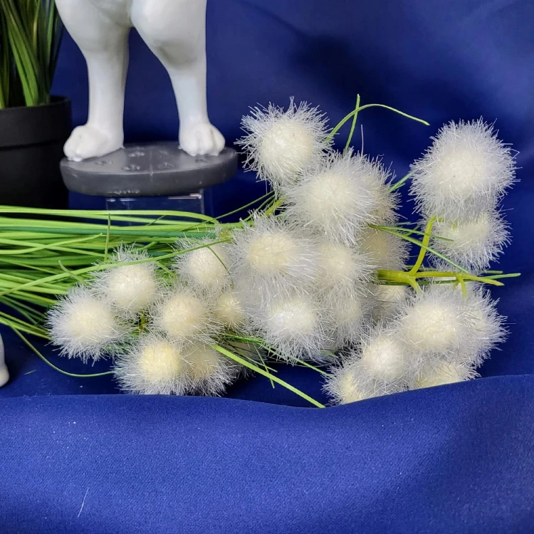 6cd6372cba1b8a2dda6faa09473435c5