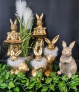 ee8fbda34b38a657b214b25d36963a25