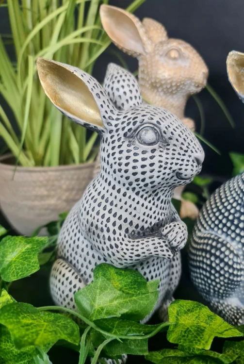 66376e6cca320f6643e1fe03e69fd22a