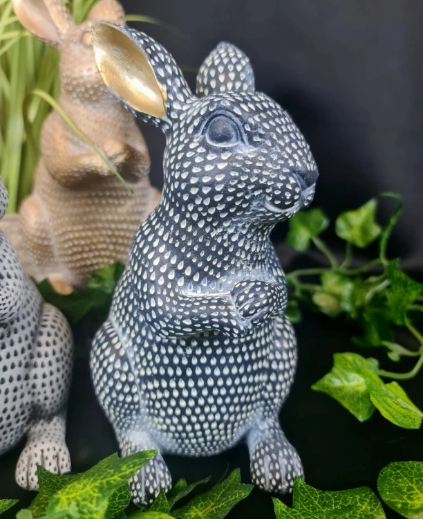 e13daa1075a7fae1a53d77260b4f2a23