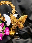 e79c8055bb0df602d2a359c9fdc6c2d9