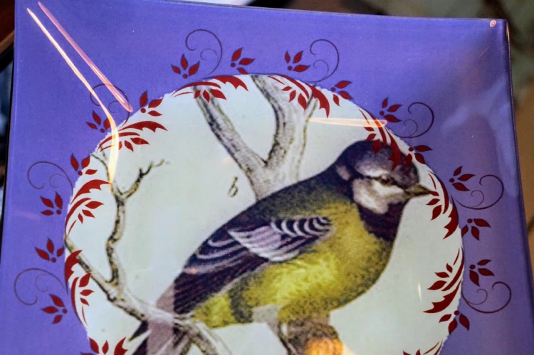 b2f6e779e523340f44edbe8861ed5b43