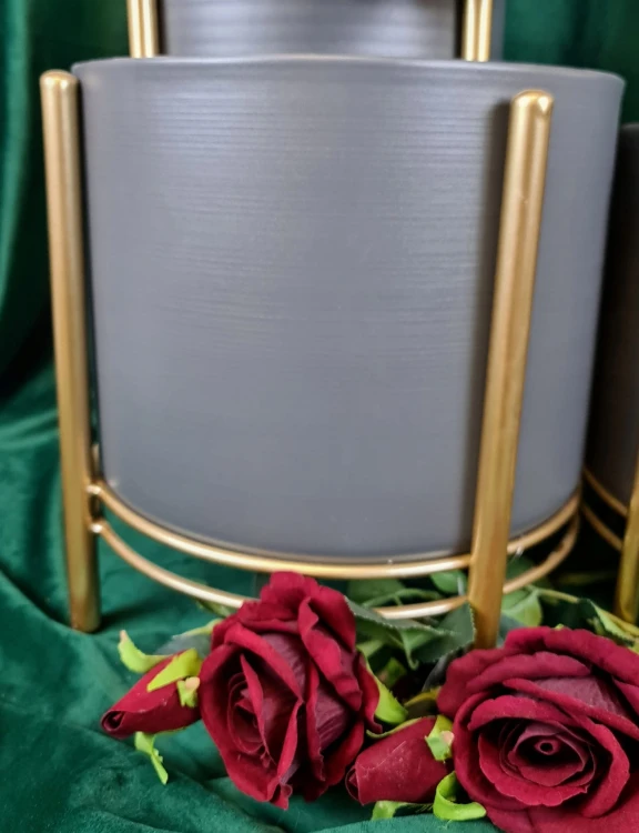 8d317a34b819652576116e9aaadb69a1