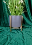 6809324d3556bf20970c41b6a6ea0f93