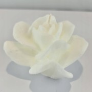 907cf3a08a5f2a2c6fccdcdf8b9b1013