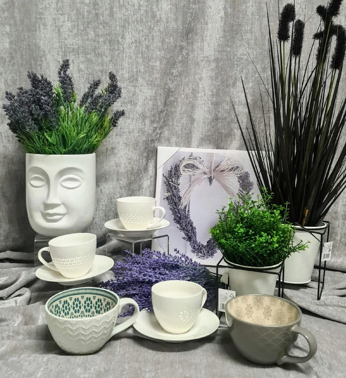 d6b48cae5a54003ace315ae575f70292