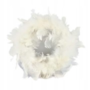 532586b8f3fa0eb44db5e0577ca5af69