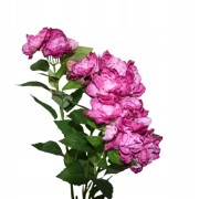 08fda68ca2f854454c68739007523cde