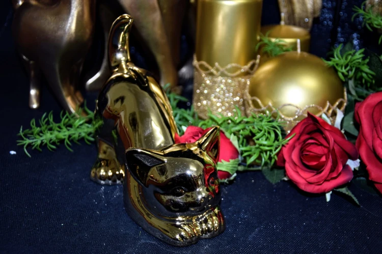 d1784936d228269544f13b90495c4290