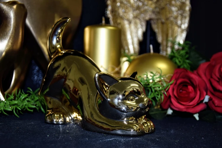 8c7bece6e5dbe7f8caeb9ac702fff9c0