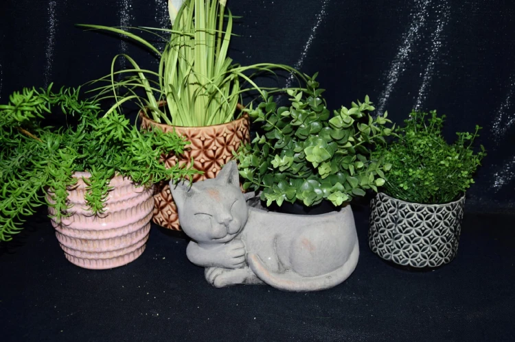 256e9935aab52fb0158c7c439e1f20fb