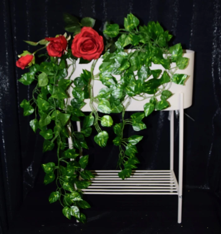 f89c6a562fb83eb1c0f867fb8937d496