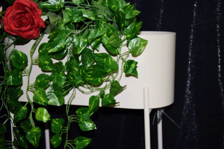 50fdde4231536b5d1a554de7a68be53c