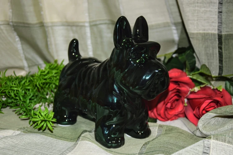 69425b1a6c5aa9edeeb8e88d08e42b34