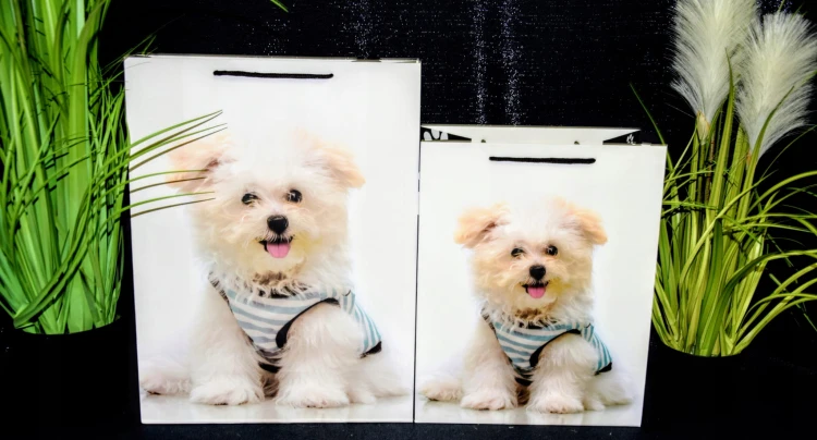 7337b5659155e092ea9b6d90ac4c183d