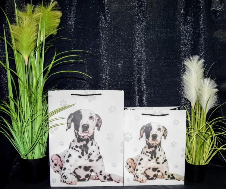 f3e0a504c6c1e1a957aa75d9aebc1e88