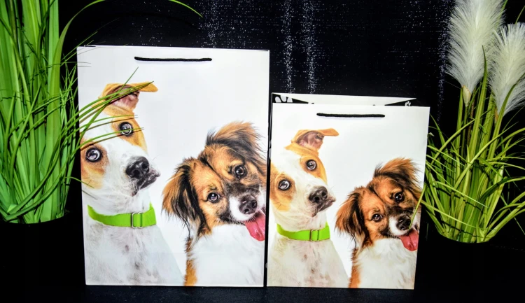 e1e72c426d876d1b4ff9d286fdb21f5c