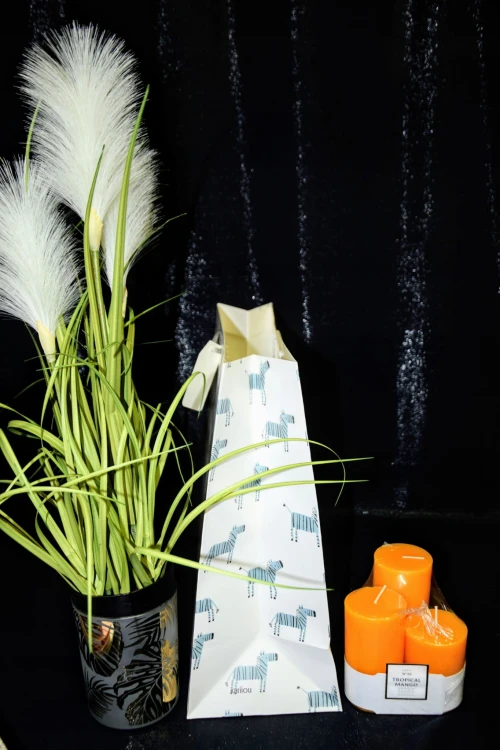 fb9aa4fe38d7a47ba3a073b1e4b2a6db