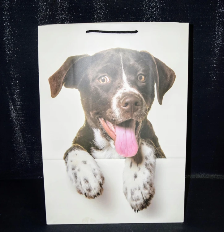 2747f5576ef63f622bc73b22cf6637e8