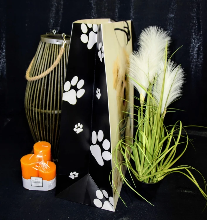 d5f193c7607af31a7232b050d2e44d5a