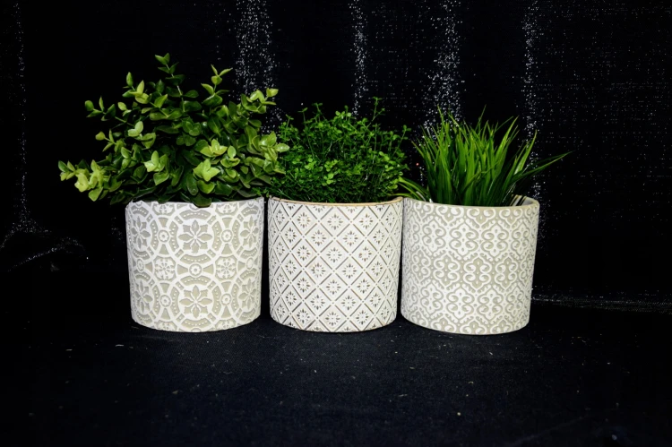 e8140e5a970fa17202b584f7a1f77885