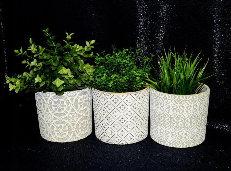 ca0019a0437a227addcdd6fc3f4e8e4e