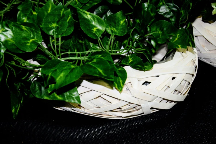 bfc687813c003736975a3be195051d12