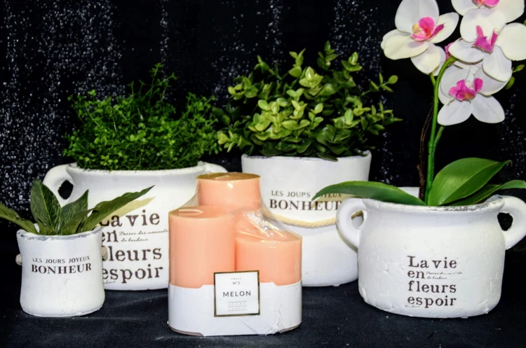 a9ad21417065acc97c27a45f25236a9f