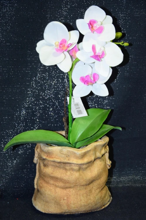 a18c3250e3e61e67e0088d3f1b70b514