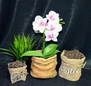 eec90bf80a8c2d759cd9f40b0f059338