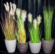 ae3eca47219cf138defecdc89e3d006b