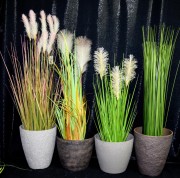 b4171905ef118d8df6c1f8f0bebd4417