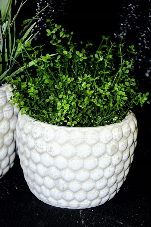 47a9138c94167f8077952f9607c0506a