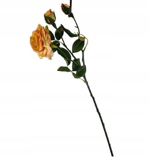 e7d792493e4d36671fbe654b628e61ff