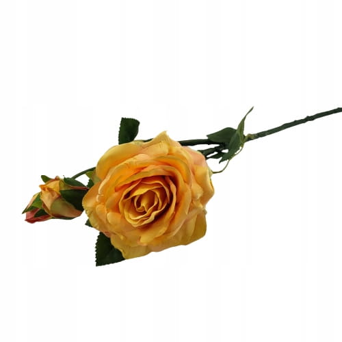 c86a8f43dbad04cf6ac8b4052b3f64a4