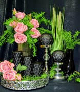 b67de014fbd585ad3c737ae700e9edfe