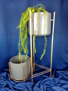 d66b127258f73730a034417f8d746221