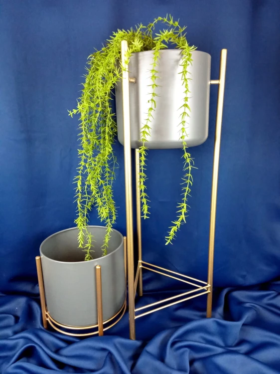 d66b127258f73730a034417f8d746221