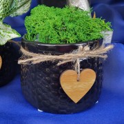 b798316ac313daece87cbf4bc17b1aa3