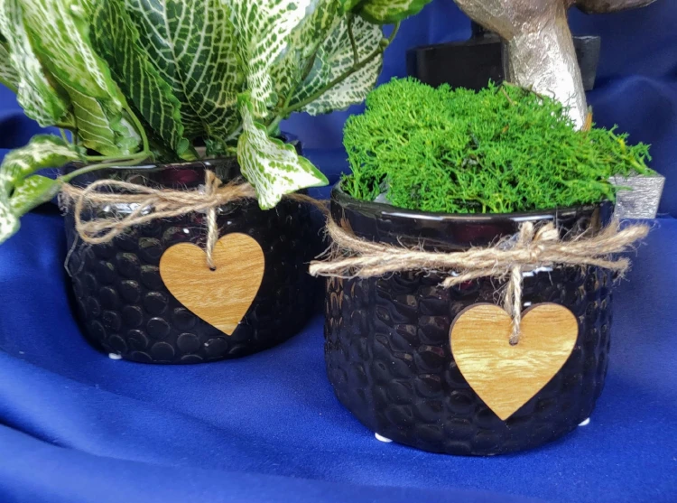 081228c859d9f5eb8d1185503a1bac99