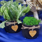 dfd5dbcb5ae4ad2c0f80ff2e08c21eb5