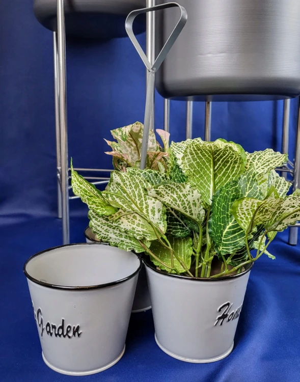 7010fbd7f6413acee1added9633ad1a3