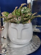 7dbb52b28bd5862e073f19bff63e417b