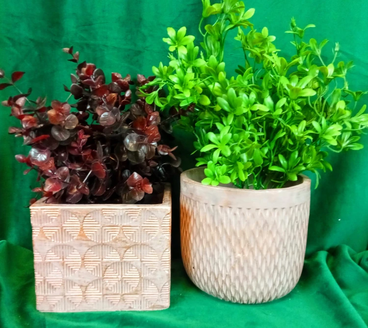 61e2e8767000b5b0058f975e11959dc4